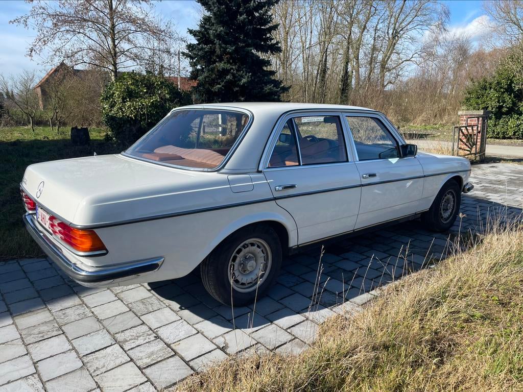 Mercedes 280 W123 Oldtimer, foto 4