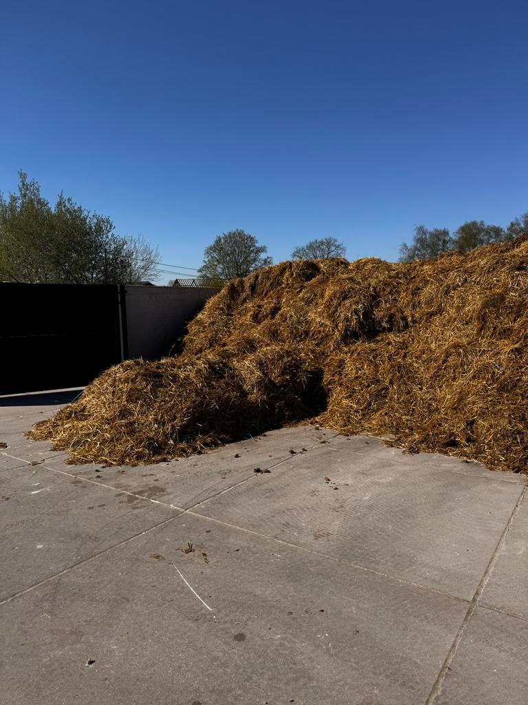 Gratis af te halen (paarden)mest, Enlèvement, Fumier