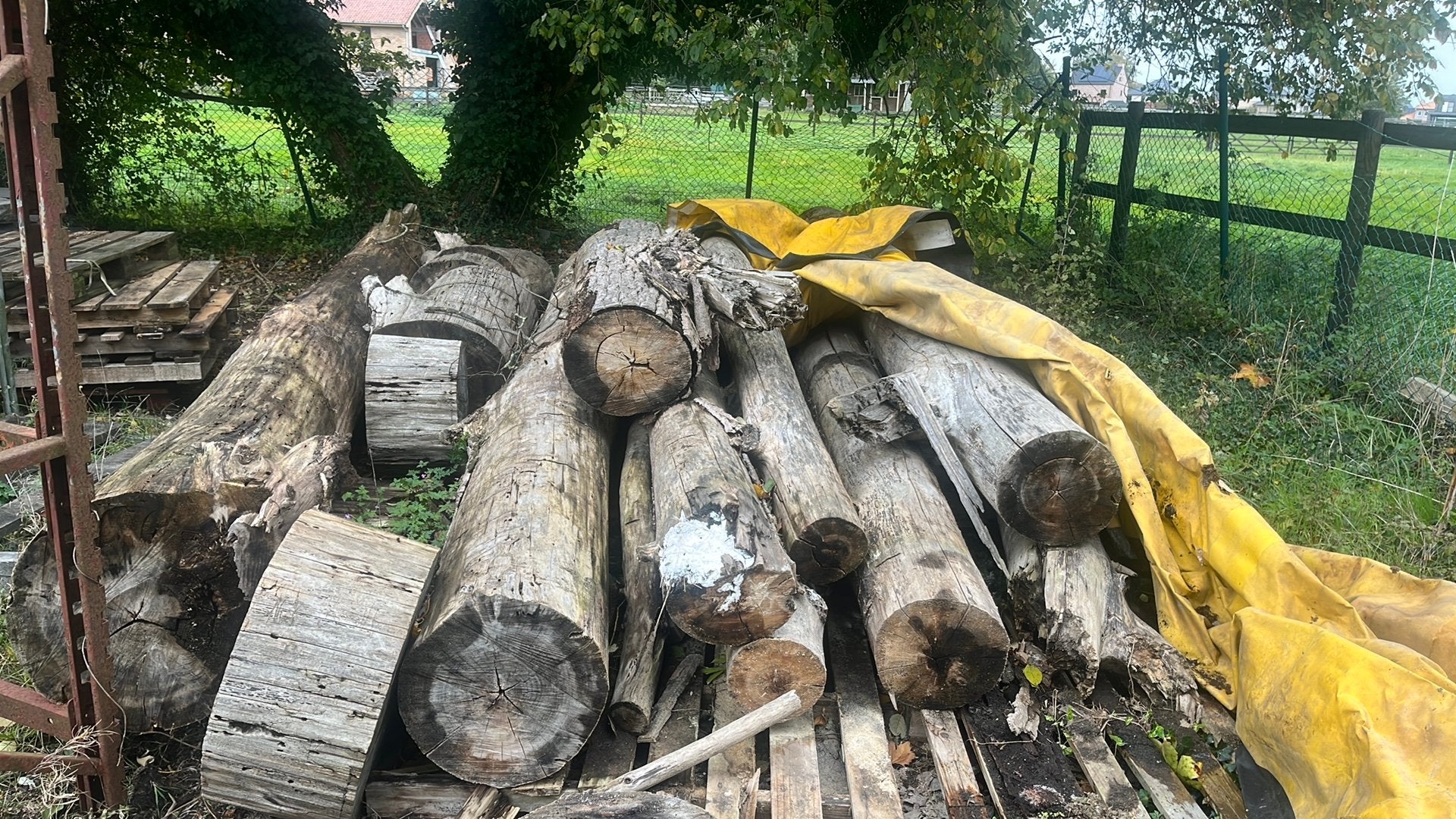 Canada hout te koop, Tuin en Terras, Ophalen, Overige houtsoorten, Stammen