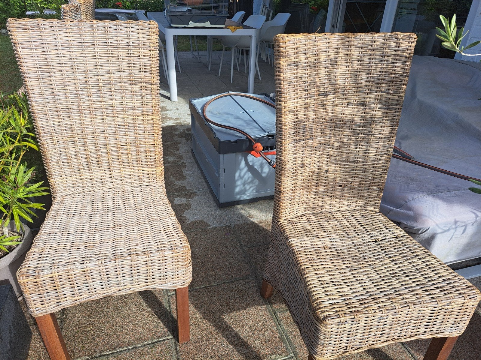 chaises en rotin pour intérieur ou extérieur, Osier ou Rotin, Autres couleurs, Enlèvement, Cinq, Six Chaises ou plus