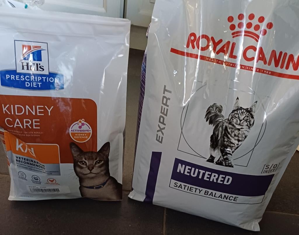 Nourriture pour chats., Enlèvement, Chat