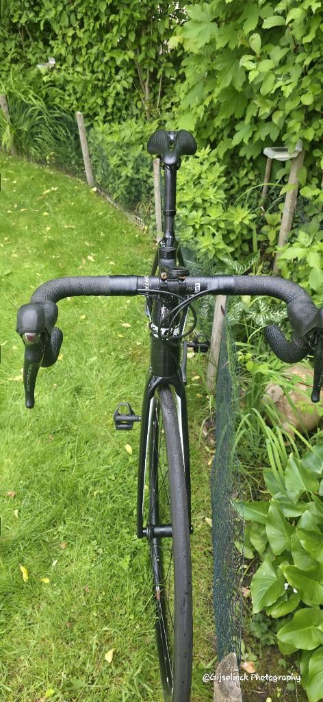 Koers fiets TREK Full Carbon, Fietsen en Brommers, Carbon, Heren, Zo goed als nieuw, Meer dan 20 versnellingen
