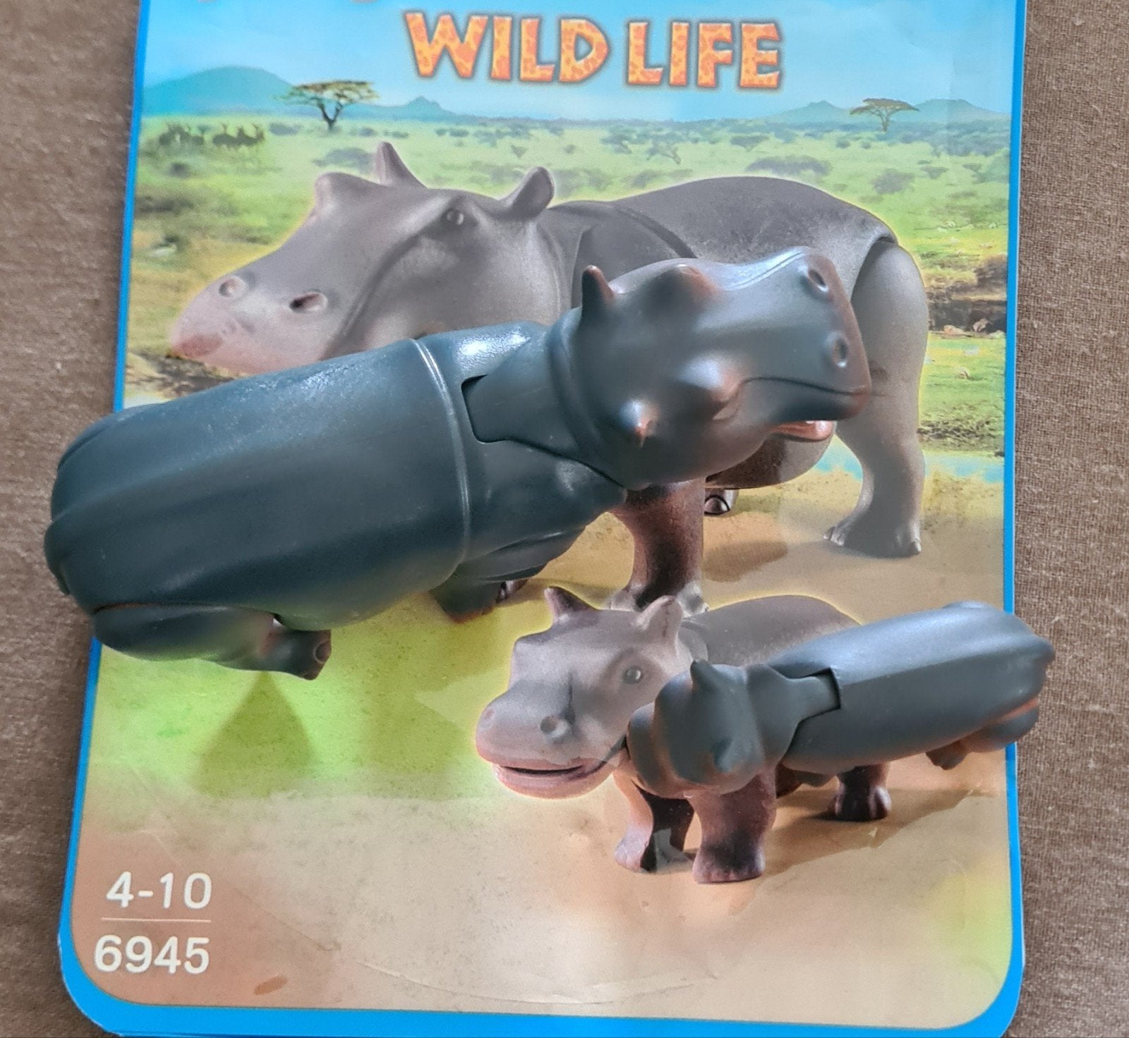 Playmobil wild life, Enlèvement