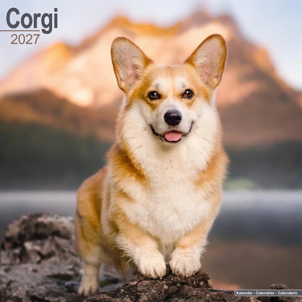 Corgi 2027 kalender vooraf bestellen, Diversen, Kalenders, Nieuw, Jaarkalender, Verzenden