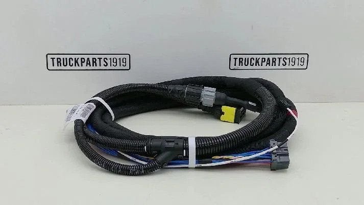 DAF Electrical System Kabelboom Opbouwer, Autos : Pièces & Accessoires, Pièces camion, Enlèvement, Utilisé, DAF, Électronique et Câbles