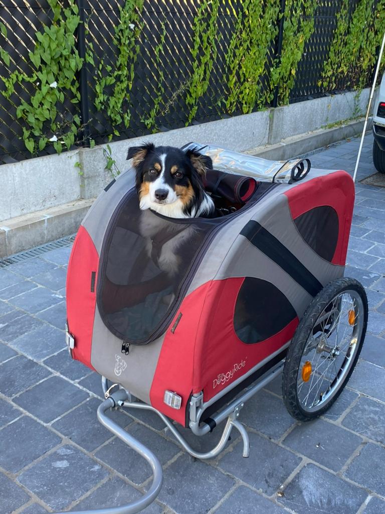 Hondenfietskar voor honden tot 45 kg, goede staat, plooibaar, Fietsen en Brommers, Fietsaccessoires | Aanhangwagens en Karren