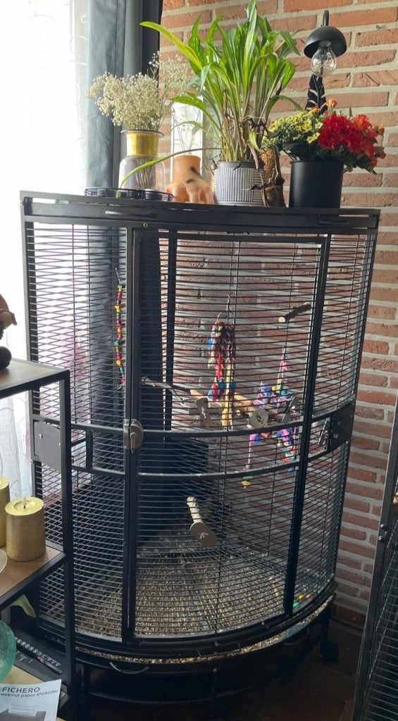 Mooie hoekkooi, Enlèvement, Comme neuf, Cage à oiseaux