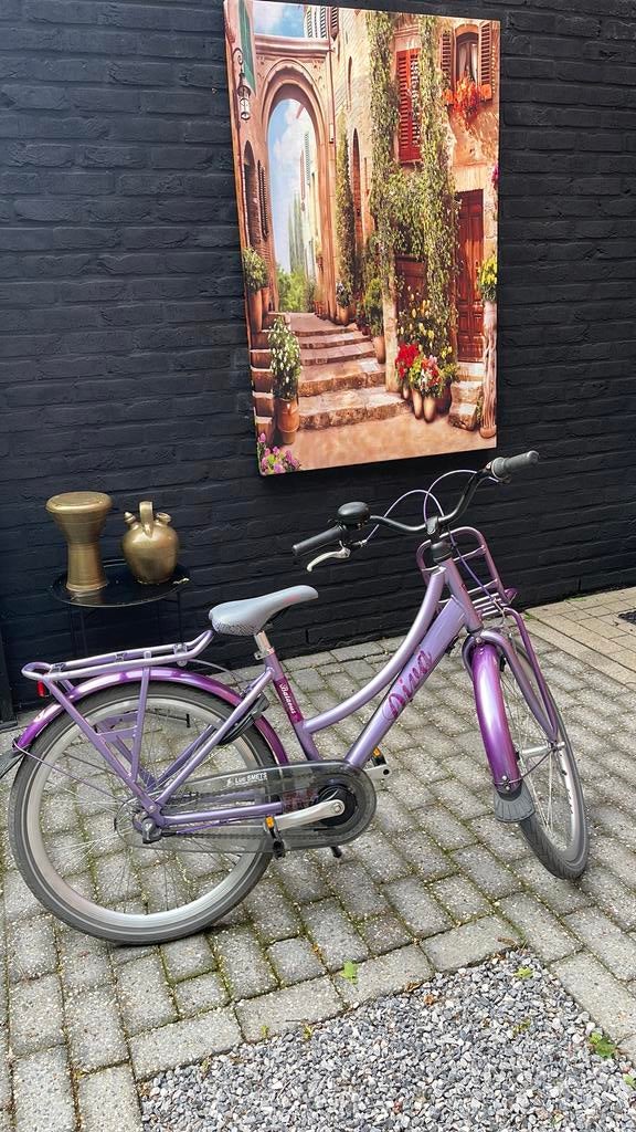 Batavus 24inch fiets met versnelling, Fietsen en Brommers, Ophalen, Zo goed als nieuw, Terugtraprem