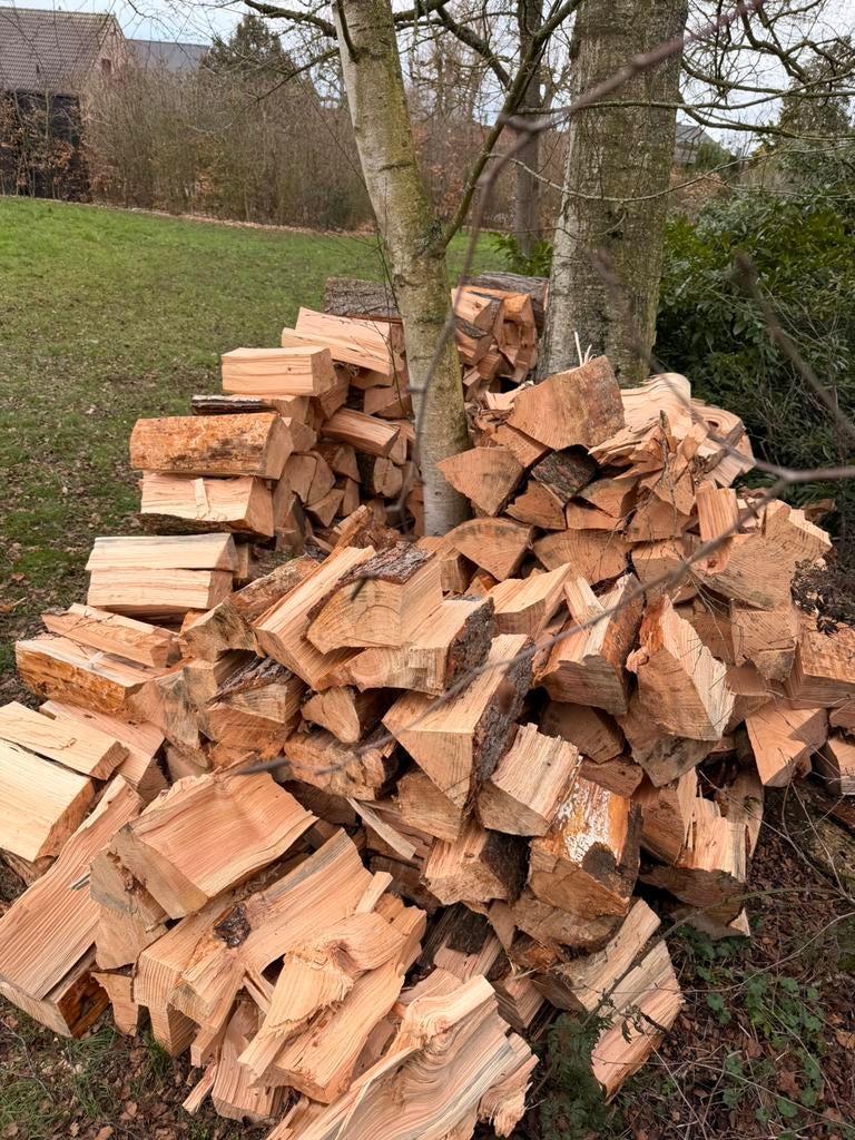 Brandhout in stronken van 40cm - gekliefd, half droog, Tuin en Terras, 3 tot 6 m³, Ophalen, Overige houtsoorten, Blokken