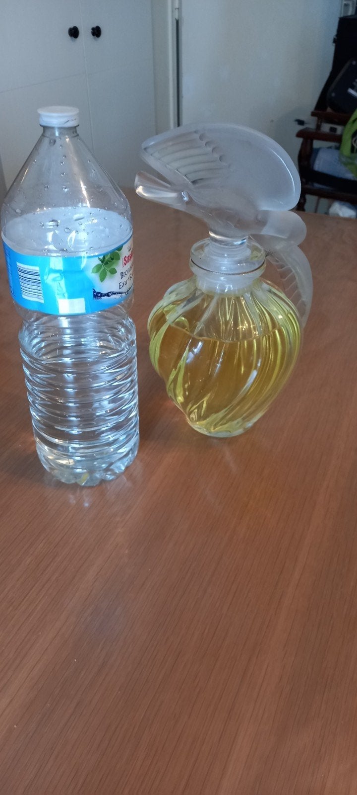 Nina Ricci L'air du temps Geant cristal Signatur LALIQUE