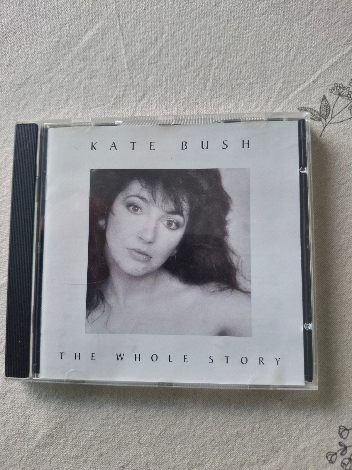 Cd kate bush, Ophalen of Verzenden