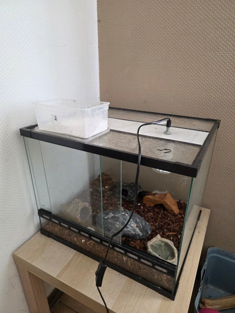 Terrarium ( zonder lamp ), Ophalen, Zo goed als nieuw, Terrarium of Paludarium