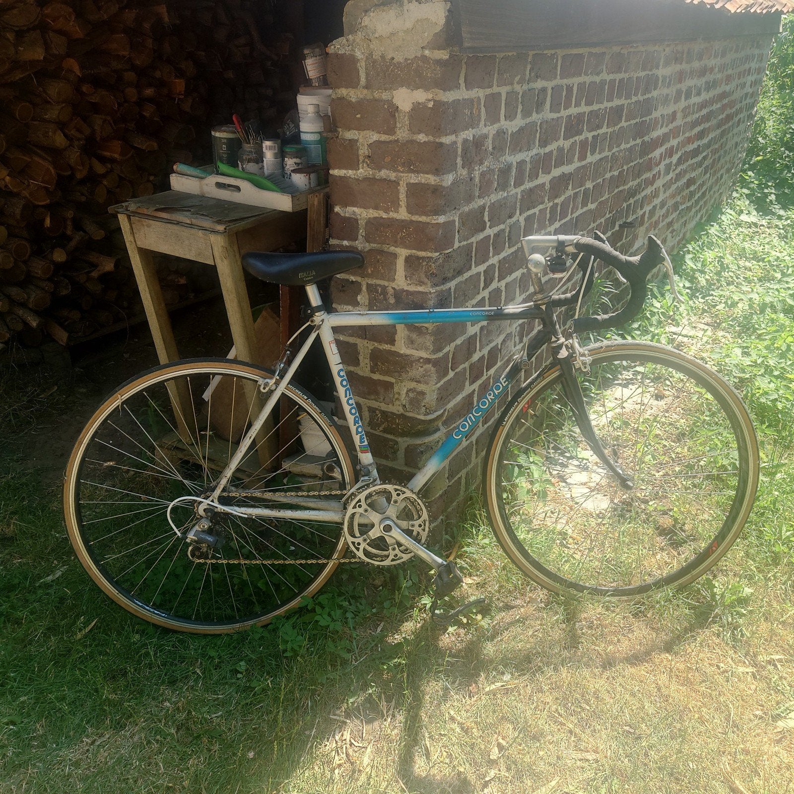 koersfiets ideaal voor dames, Ophalen, Dames