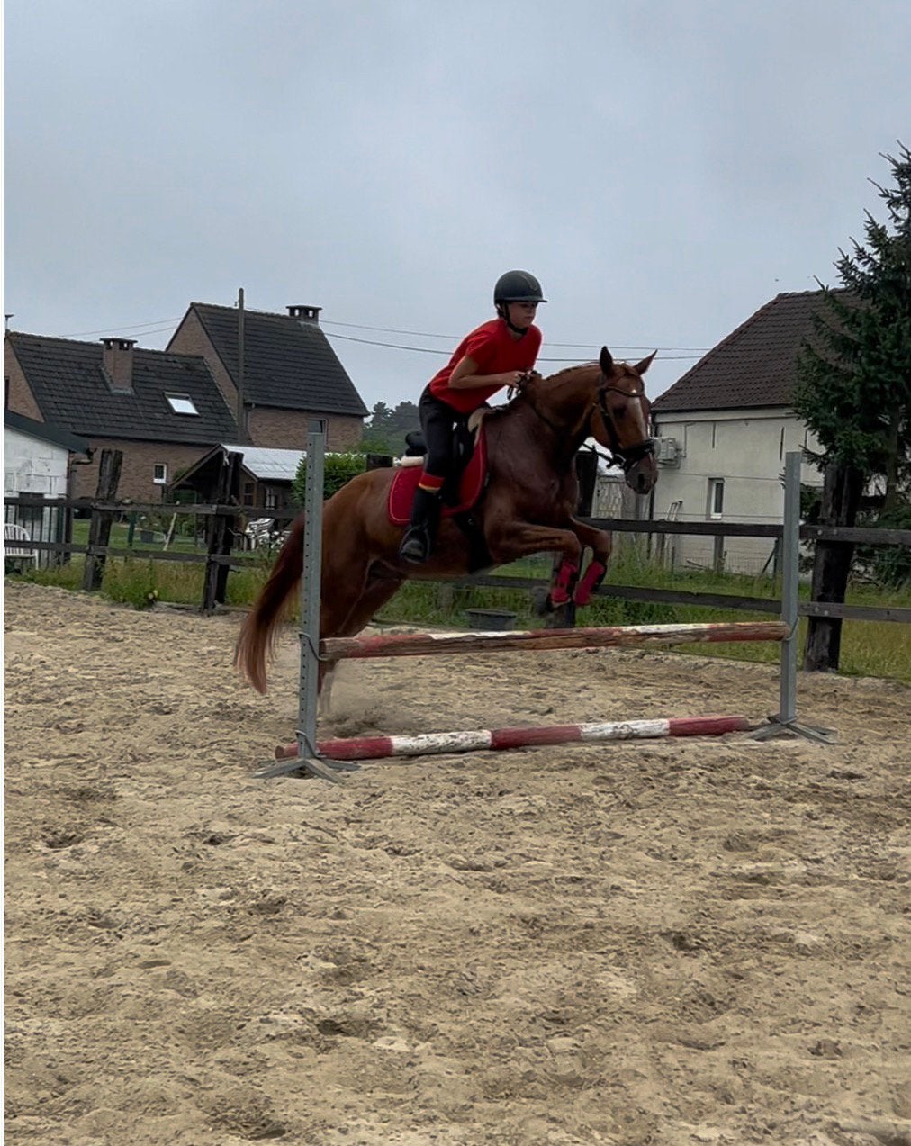 Halve stal RUITER gezocht, 11 ans ou plus, Hongre, 165 à 170 cm, Ne s'applique pas