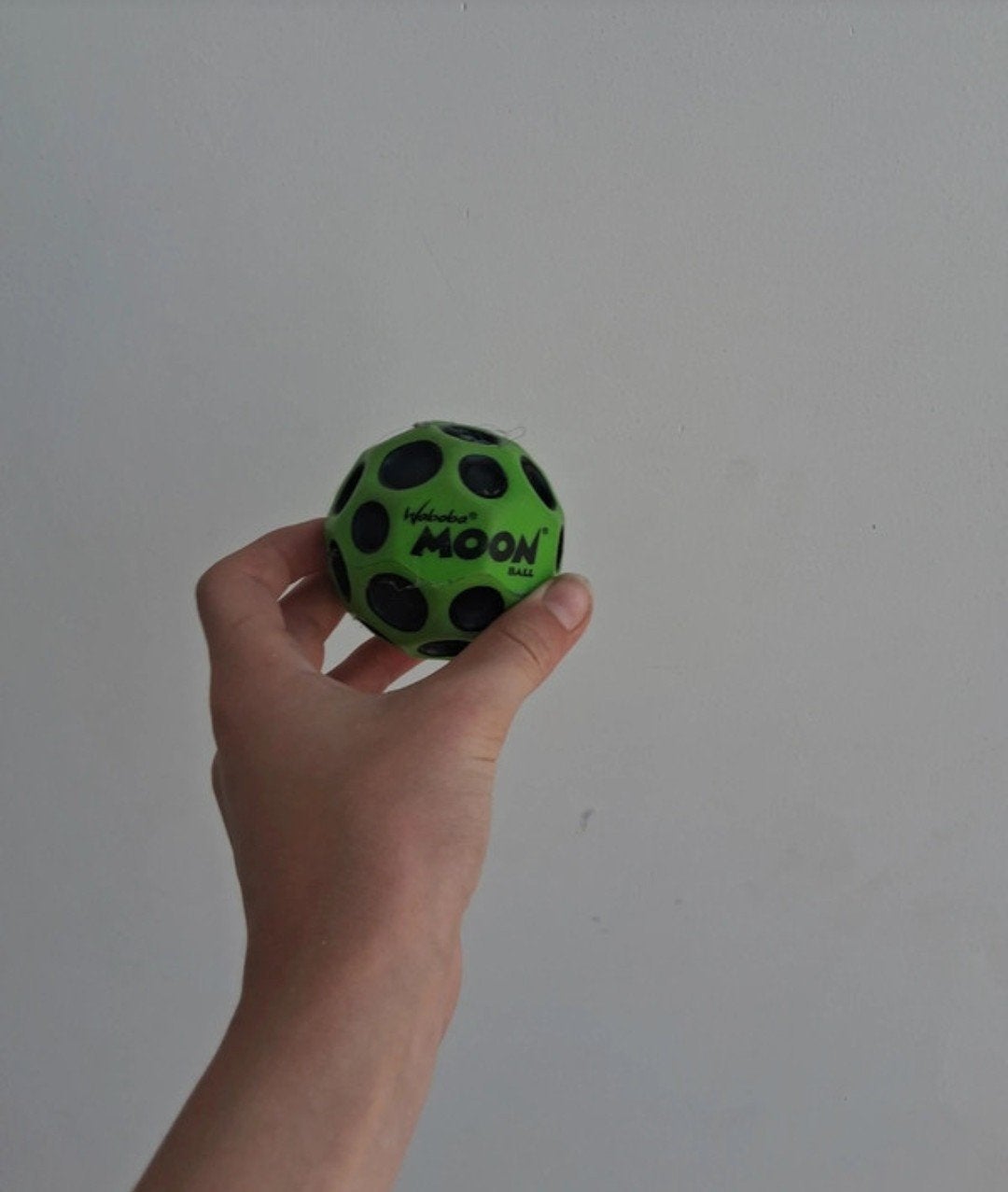 Boule lunaire, Autres espèces, 7 à 10 ans