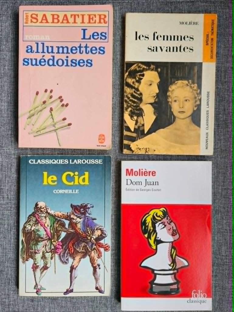 Lot 4 livres Dom Juan / Femmes savantes / Allumettes / Cid, Ophalen of Verzenden, Gelezen, ASO, Frans