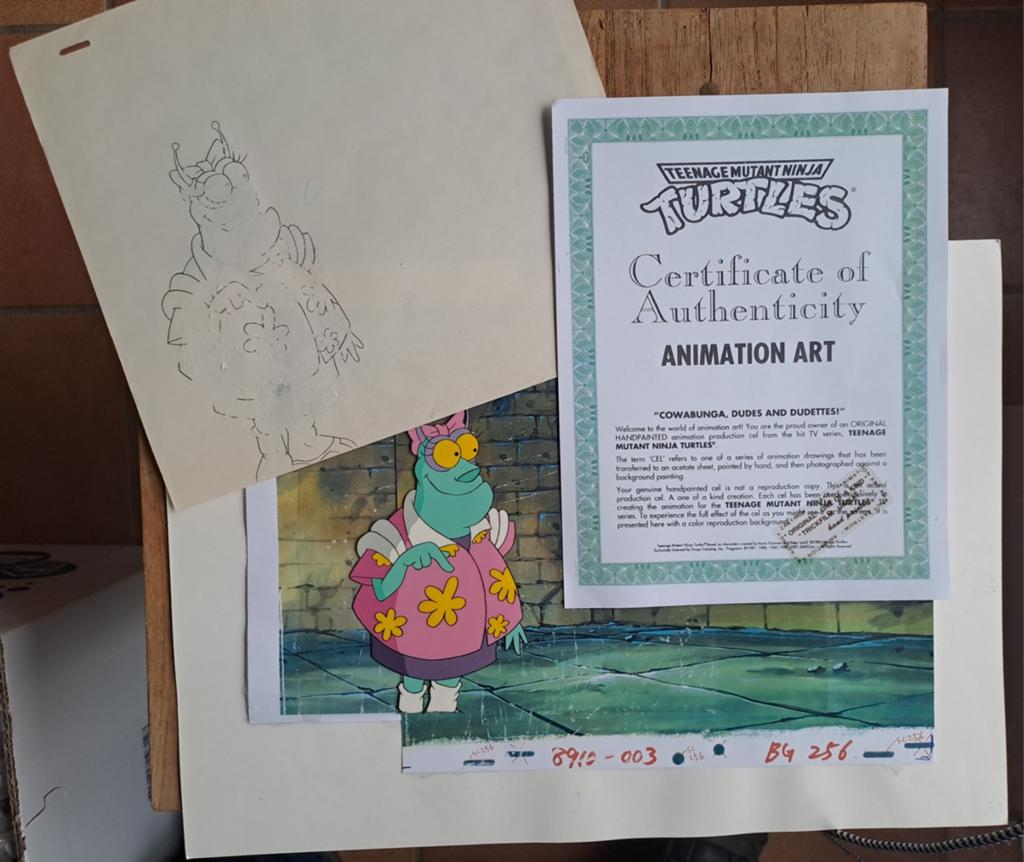 Originele animatiecel Teenage Mutant Ninja Turtles, Boeken, Ophalen of Verzenden