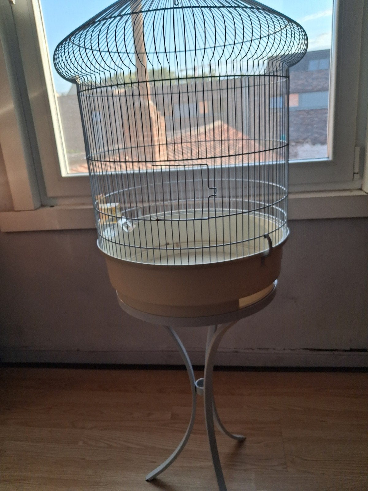 belle cage à oiseaux, Enlèvement, Cage à oiseaux