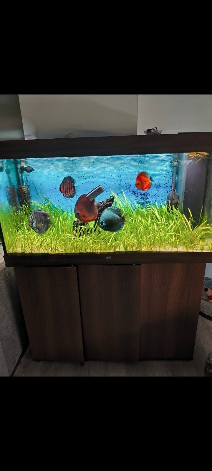 juwel aquarium 350l, Ophalen, Gebruikt, Aquariummeubel, Juwel