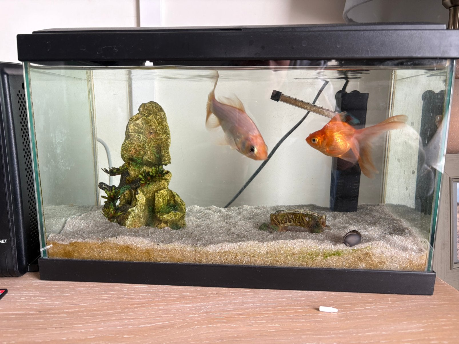 Aquarium, Animaux & Accessoires, Enlèvement ou Envoi, Pompe, Comme neuf