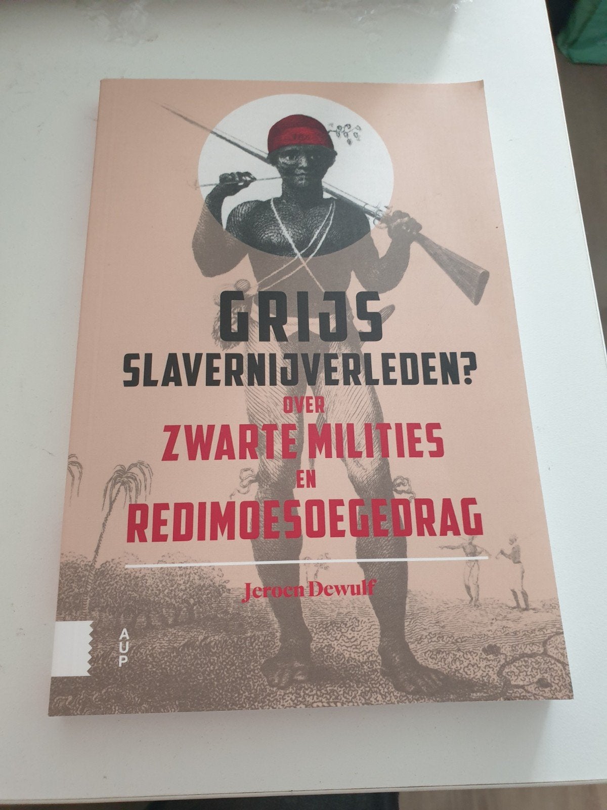 Jeroen Dewulf - Grijs slavernijverleden?, Enlèvement ou Envoi, Comme neuf, Jeroen Dewulf, 20e siècle ou après
