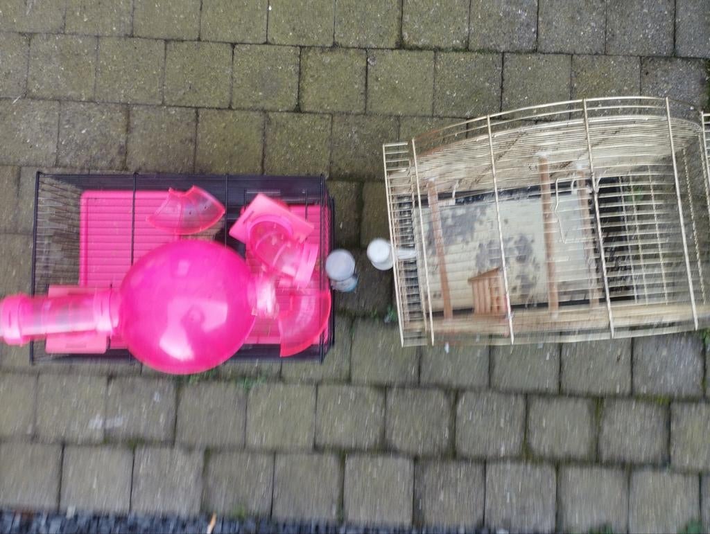 Hamster kooi en vogel kooi