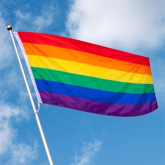Regenboogvlag Nieuw 110cm x 185 cm, Diversen, Vlaggen en Wimpels, Ophalen, Zo goed als nieuw
