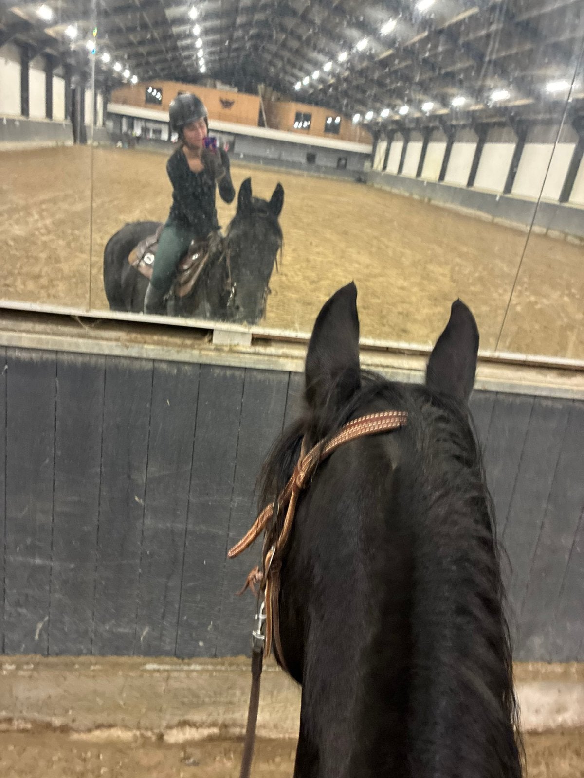 Western halve stal arabo fries merrie, Merrie, Niet van toepassing, Met stamboom, 7 tot 10 jaar