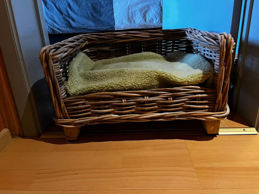 Rieten hondenmand, Dieren en Toebehoren, Hondenmanden, Ophalen, Gebruikt, Riet