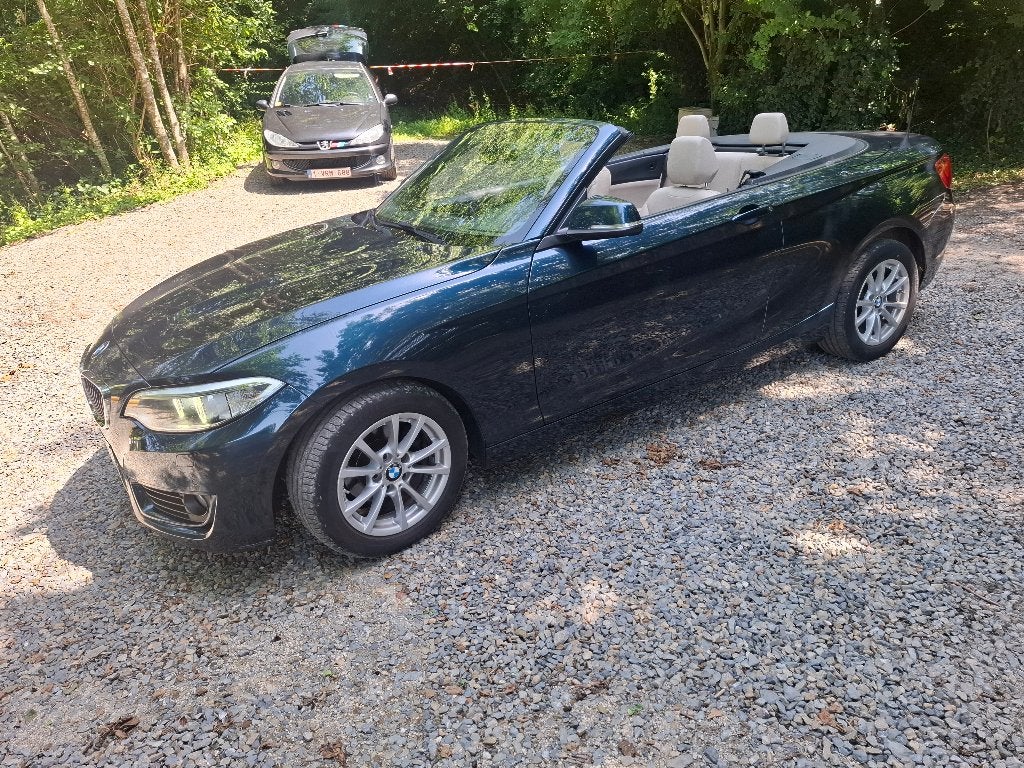 bmw 218i cabriolet, Beige, Entreprise, Cabriolet, Boîte manuelle