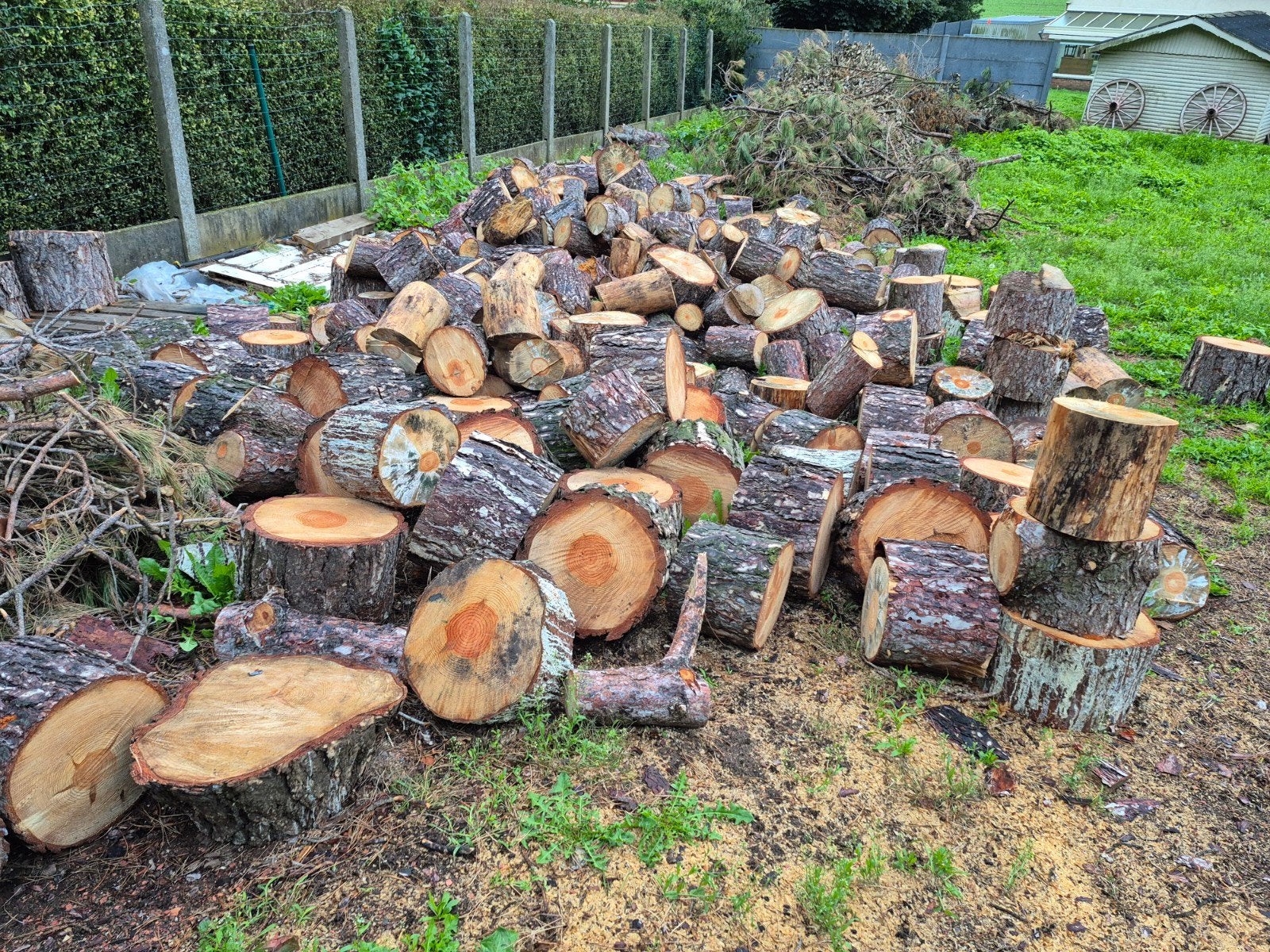 dennenhout, Tuin en Terras, Ophalen