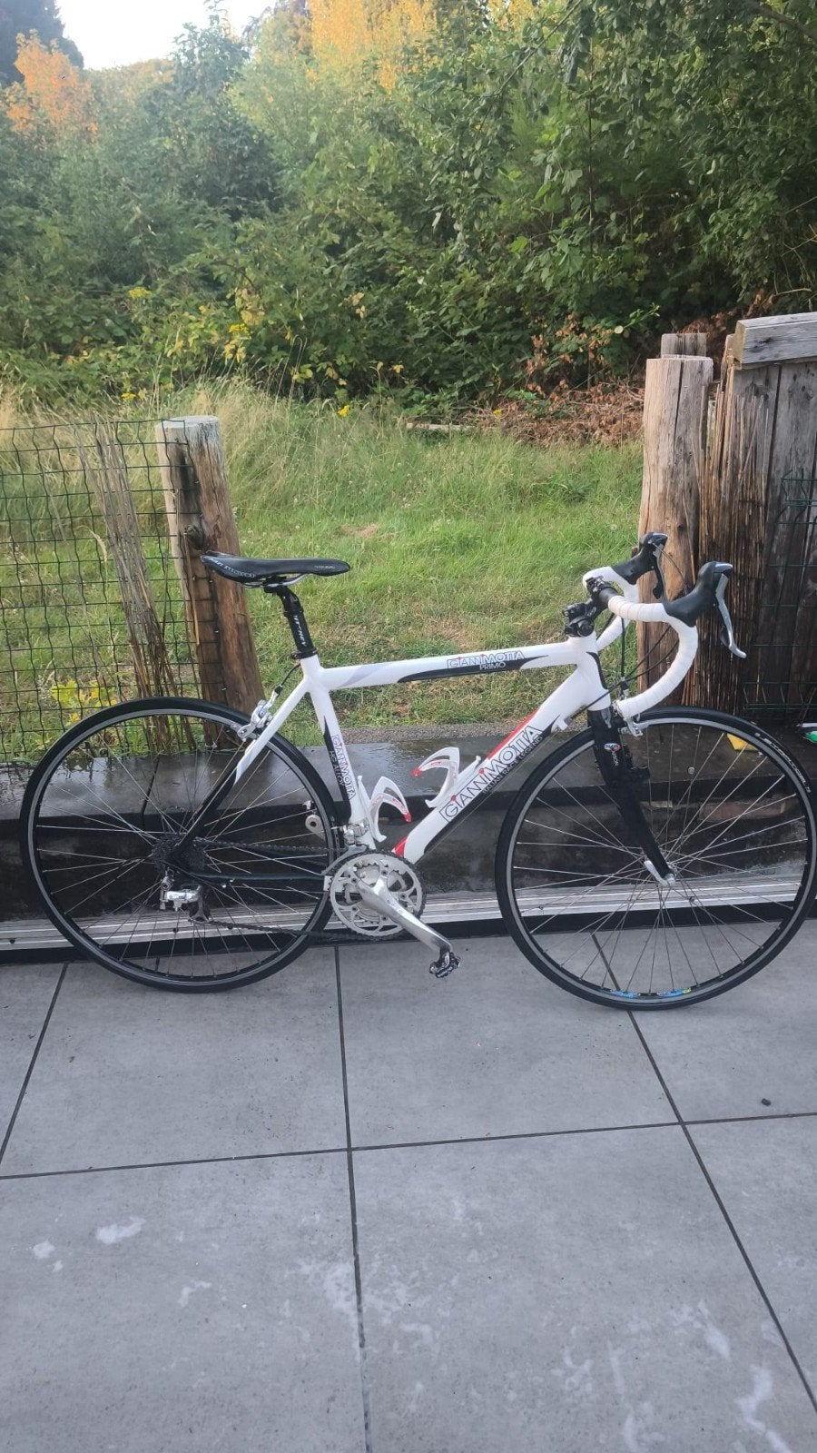 Road bike Gianni Motta, Ophalen, Aluminium