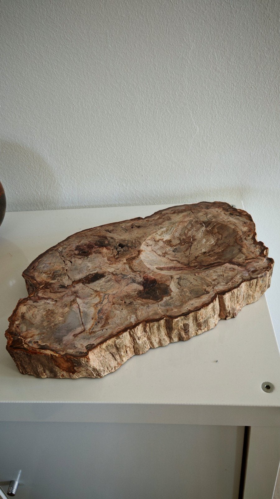 Bois pétrifié - 6kg