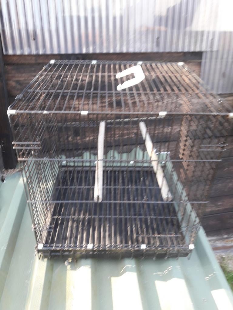 Vogel kooi, Dieren en Toebehoren, Ophalen