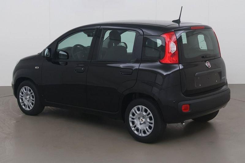 Fiat Panda 1.0i classic urban 5pl. 69, Auto's, https://public.car-pass.be/vhr/db306c70-c659-4cf5-bd5b-c205ca52341e, Gebruikt, Overige bekleding