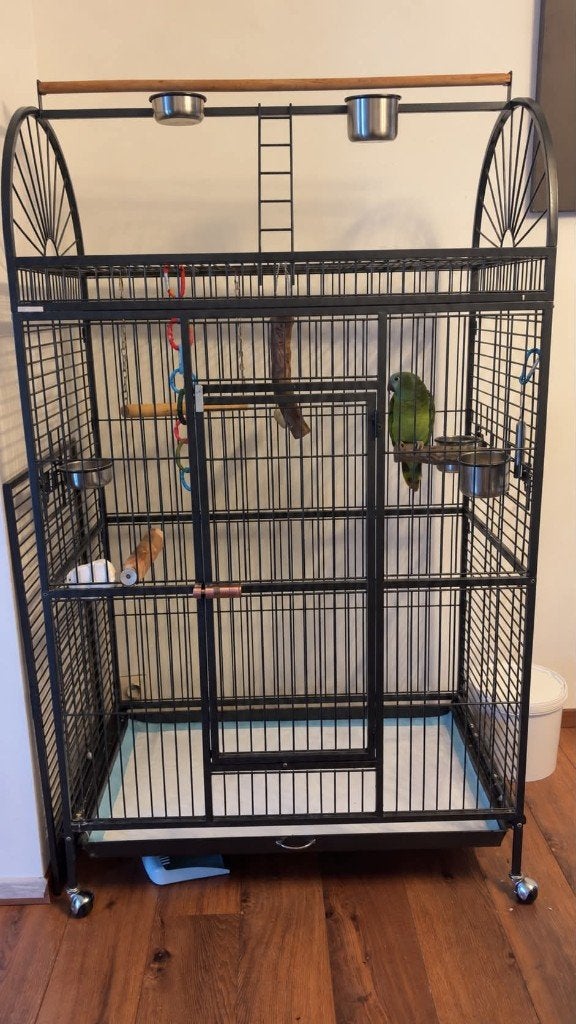 Amazone avec tres belle cage, Enlèvement, Comme neuf, Métal, Cage à oiseaux