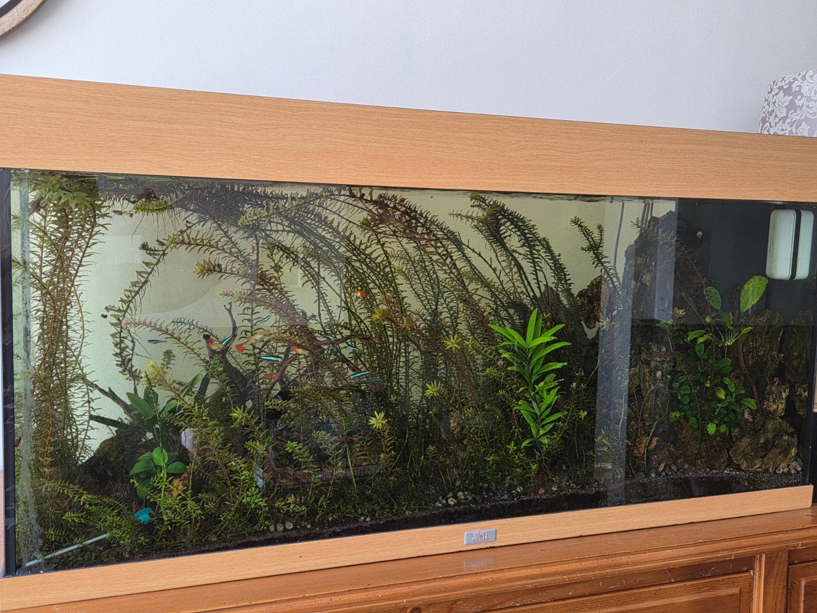 Juwel aquarium, Dieren en Toebehoren, Ophalen, Verwarming, Filter, Juwel