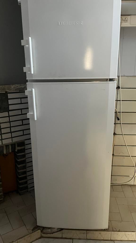IJskast + vriezer Liebherr, Elektronische apparatuur, Ophalen, Gebruikt, Met aparte vriezer, 160 cm of meer