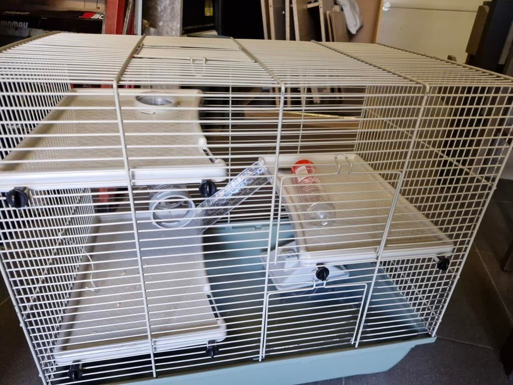 Hamsterkooi, Dieren en Toebehoren, Ophalen, Hamster