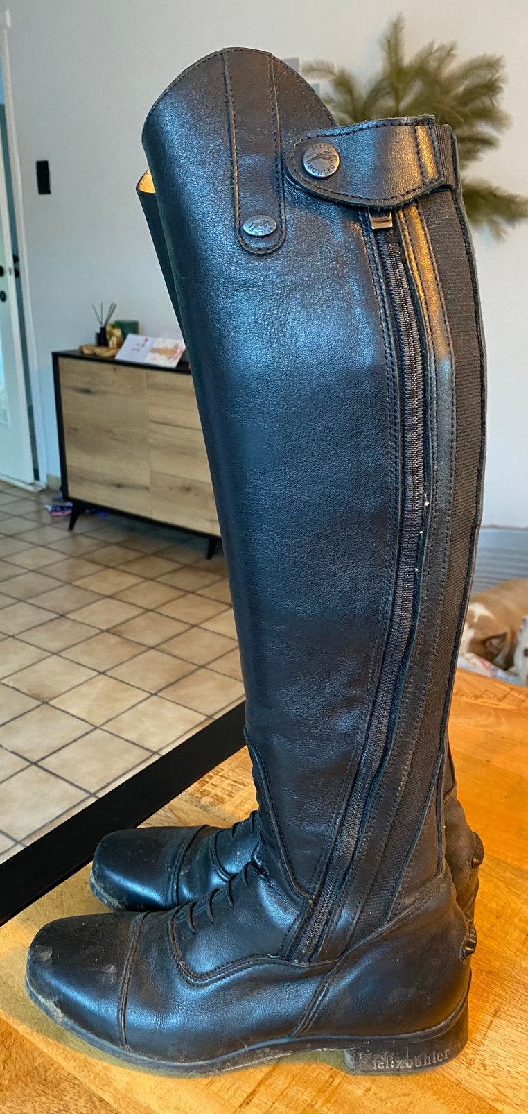 Paardrij laarzen 39, Animaux & Accessoires, Vêtements d'équitation, Enlèvement, Utilisé