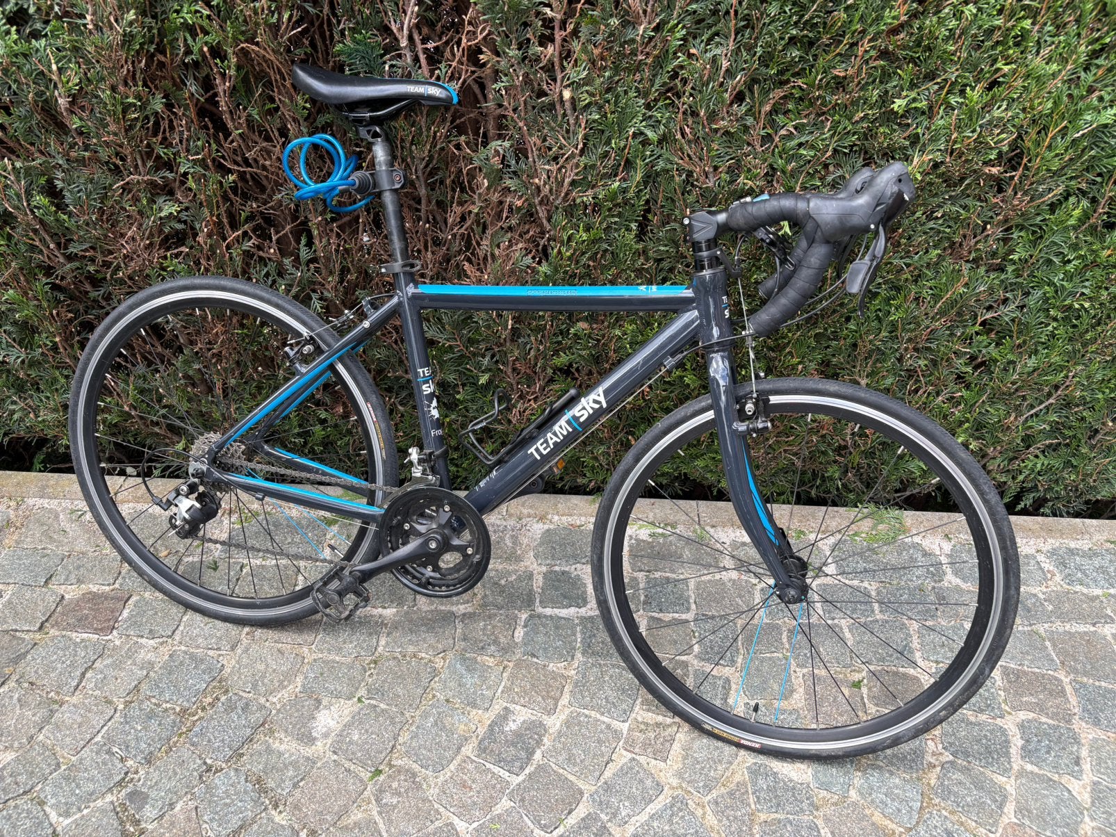 Race-/koersfiets Team sky - Frog 70, Enlèvement, Comme neuf