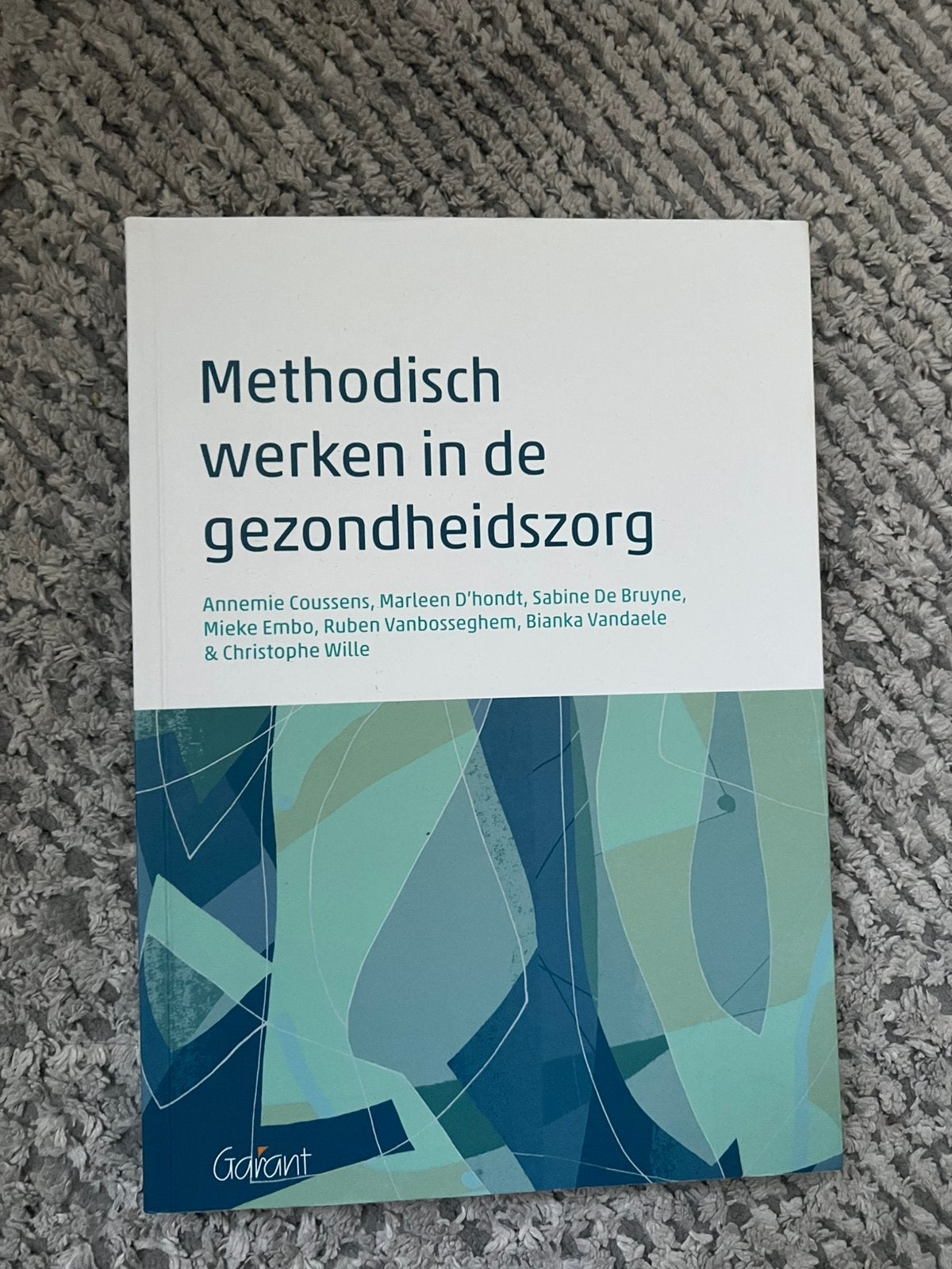 Methodisch werken in de gezondheidszorg mondzorg, Livres, Livres d'étude & Cours, Enlèvement, Comme neuf