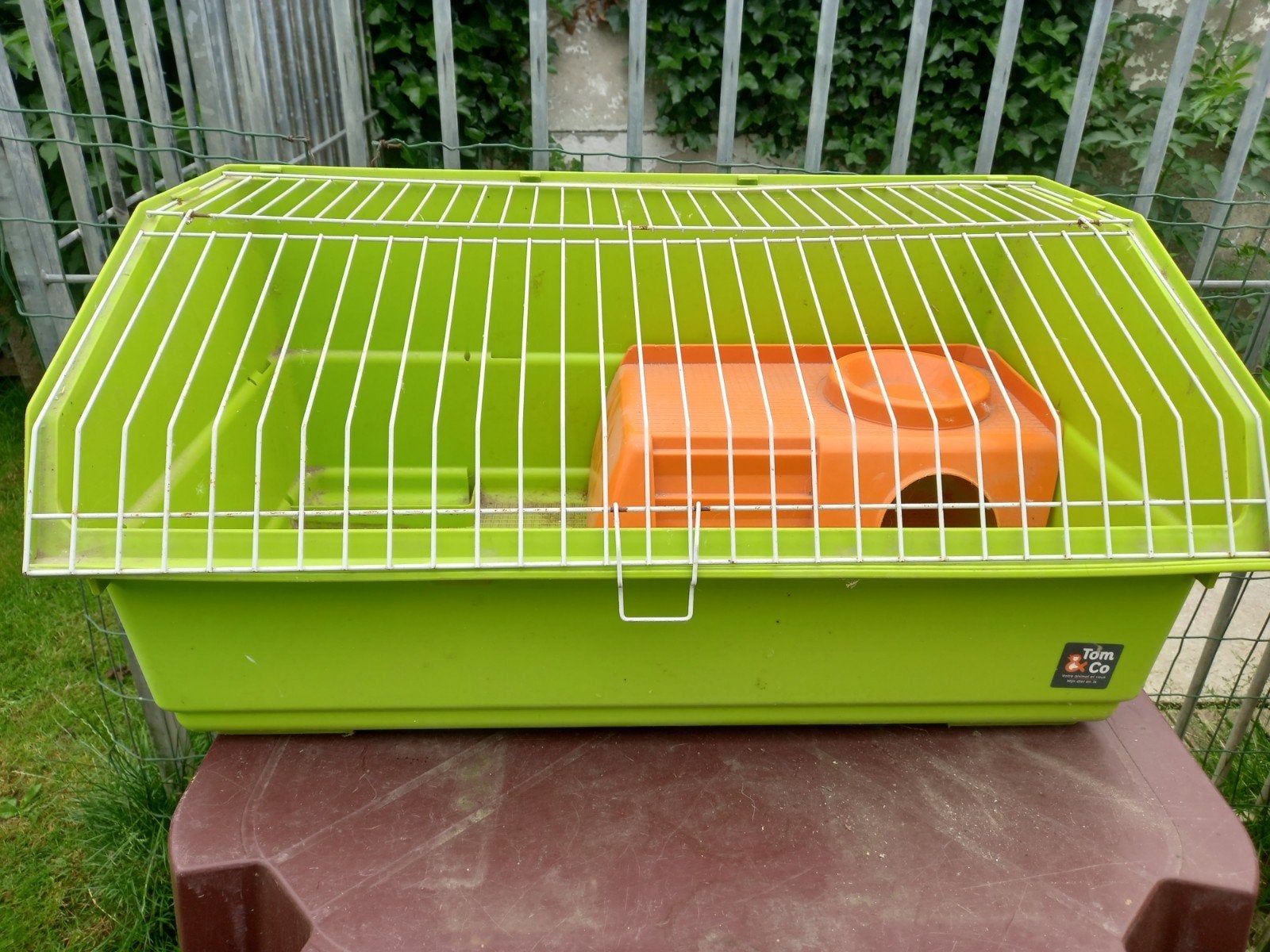 Cavia of dwergkonijn kooi, Dieren en Toebehoren, Ophalen, Kooi, Cavia