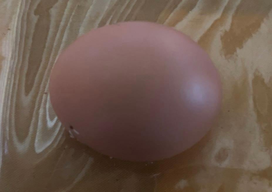 Bons œufs frais maison, Divers, Produits alimentaires, Enlèvement
