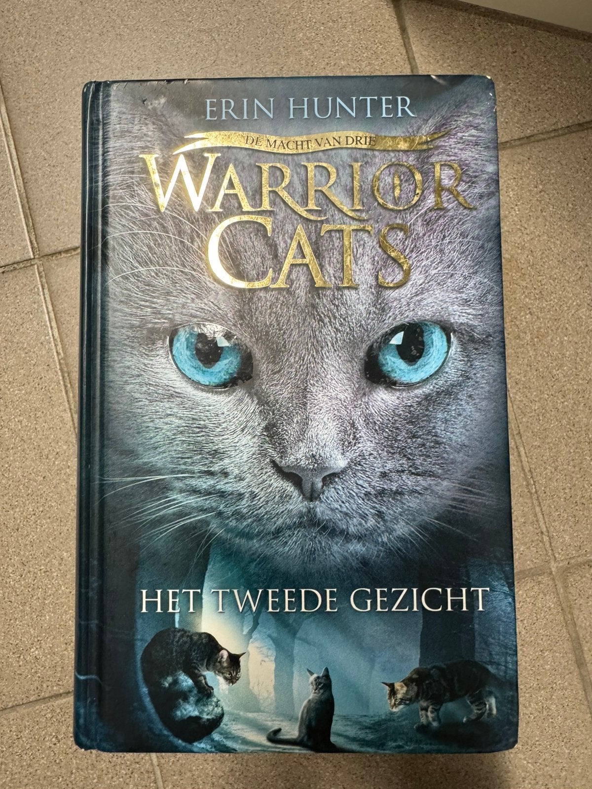 Erin Hunter - Warrior Cats serie 3, Enlèvement ou Envoi, Erin Hunter