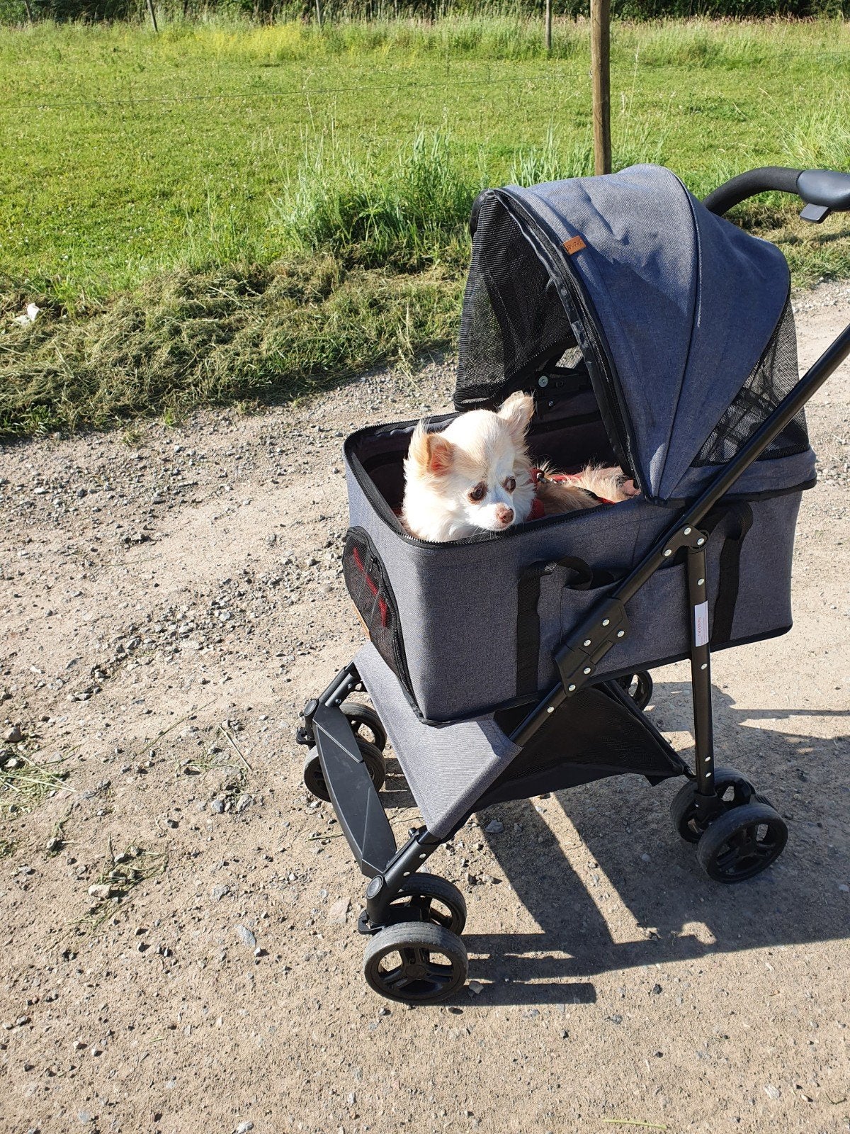 Poussette pour chien Lovpet, Animaux & Accessoires, Enlèvement ou Envoi, Poussette pour chien