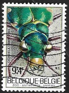 1 Postzegel België 1971 ZOO Antwerpen, Frankeerzegel, Ophalen of Verzenden, Gestempeld, Gestempeld
