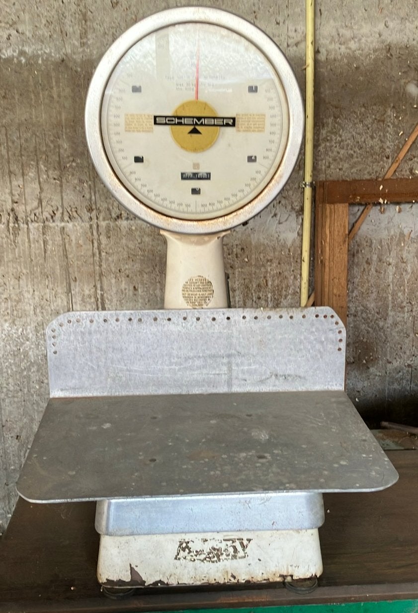 vintage Schember klokweegschaal (Type 105-16), Elektronische apparatuur, Weegschalen, Ophalen, Gebruikt