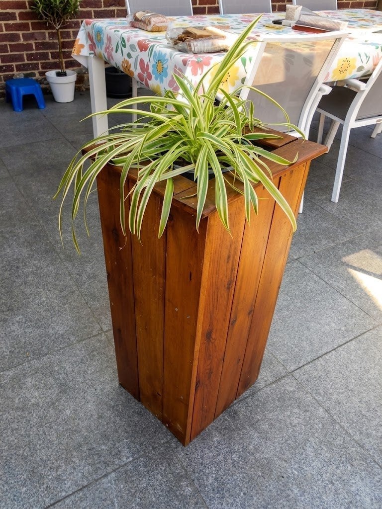 BELLE GRANDE JARDINIERE EN BOIS 50 EUR AVEC PLANTE, Intérieur, Comme neuf, 30 à 60 cm, Enlèvement