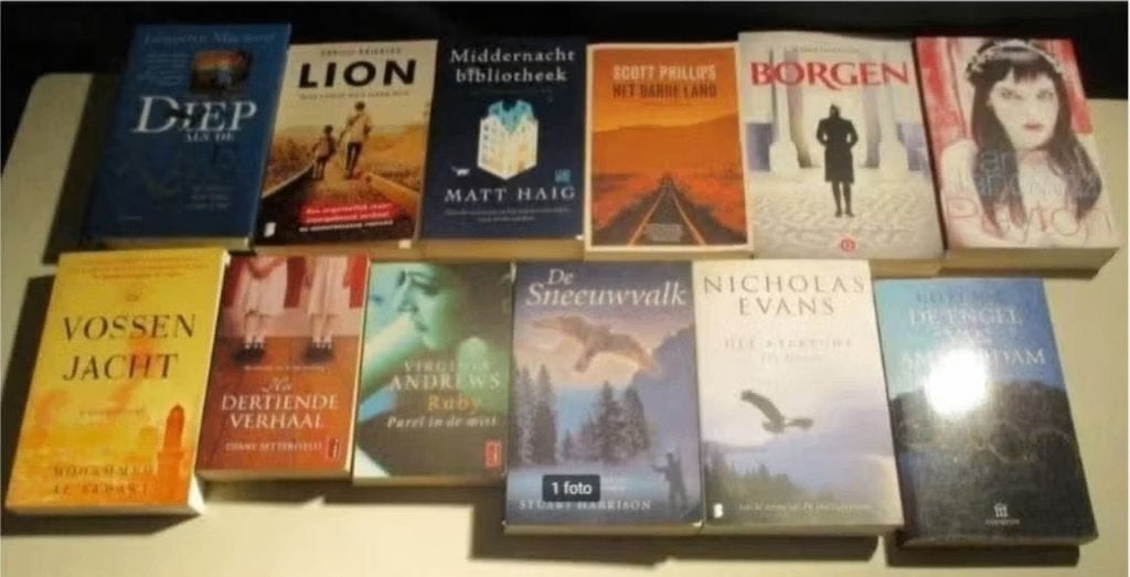 12 Prima Nederlandstalige Romans, Boeken, Ophalen of Verzenden, Zo goed als nieuw